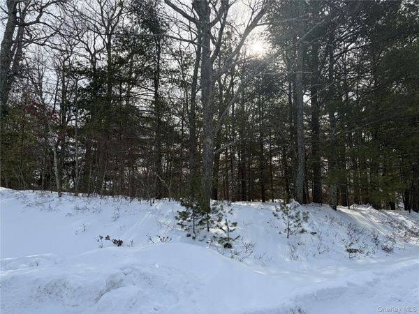 Lot 1 Willow Lane, Glen Spey, NY 12737
