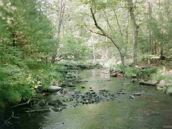 Lot 59.2 Lower Lumber Road, Glen Spey, NY 12737