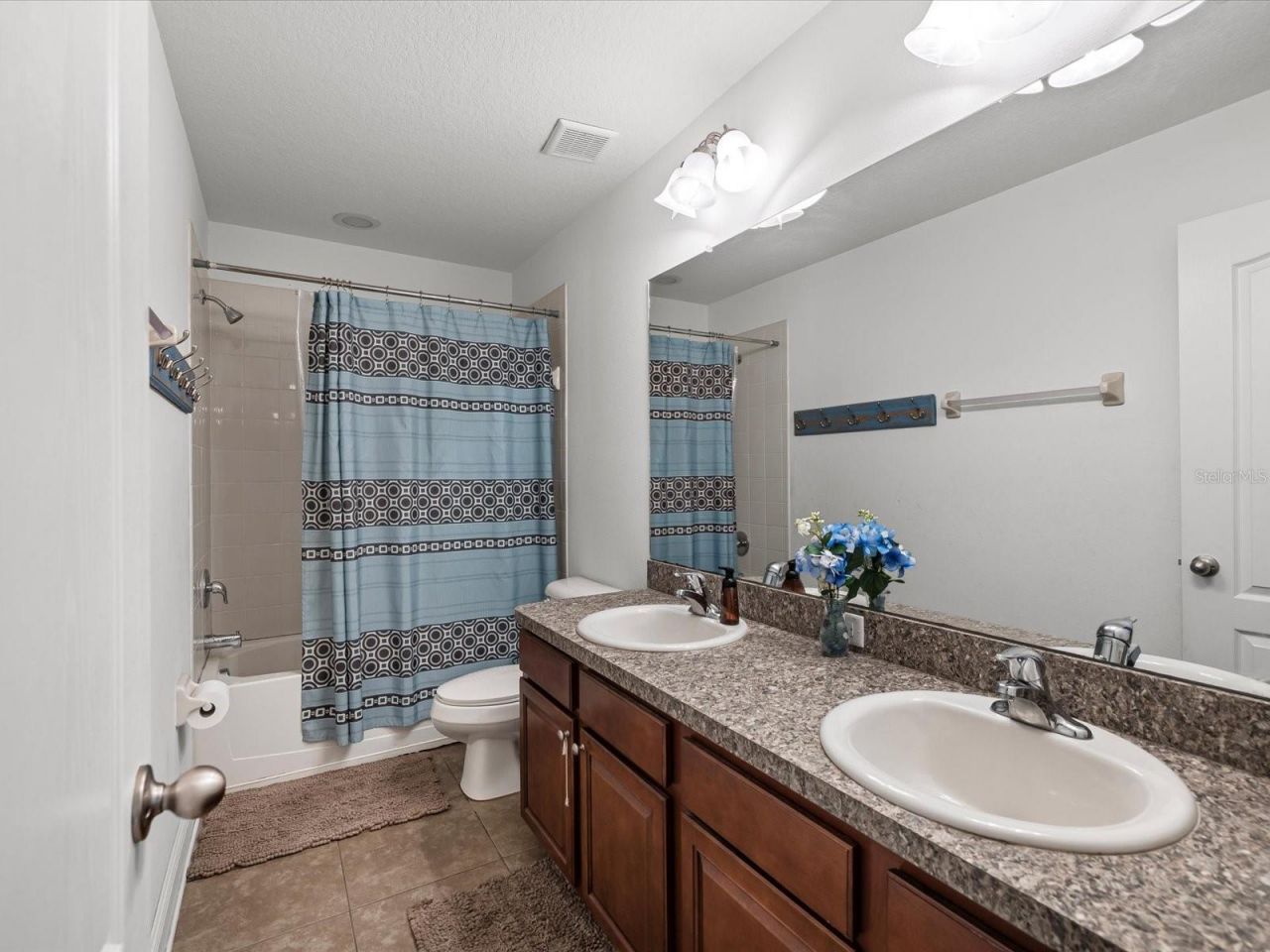 2214 Valterra Vista Way, Valrico, FL 33594 Photo