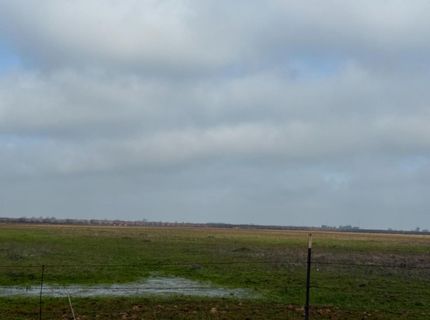 Moore Rd, Lincoln, CA 95648 Photo