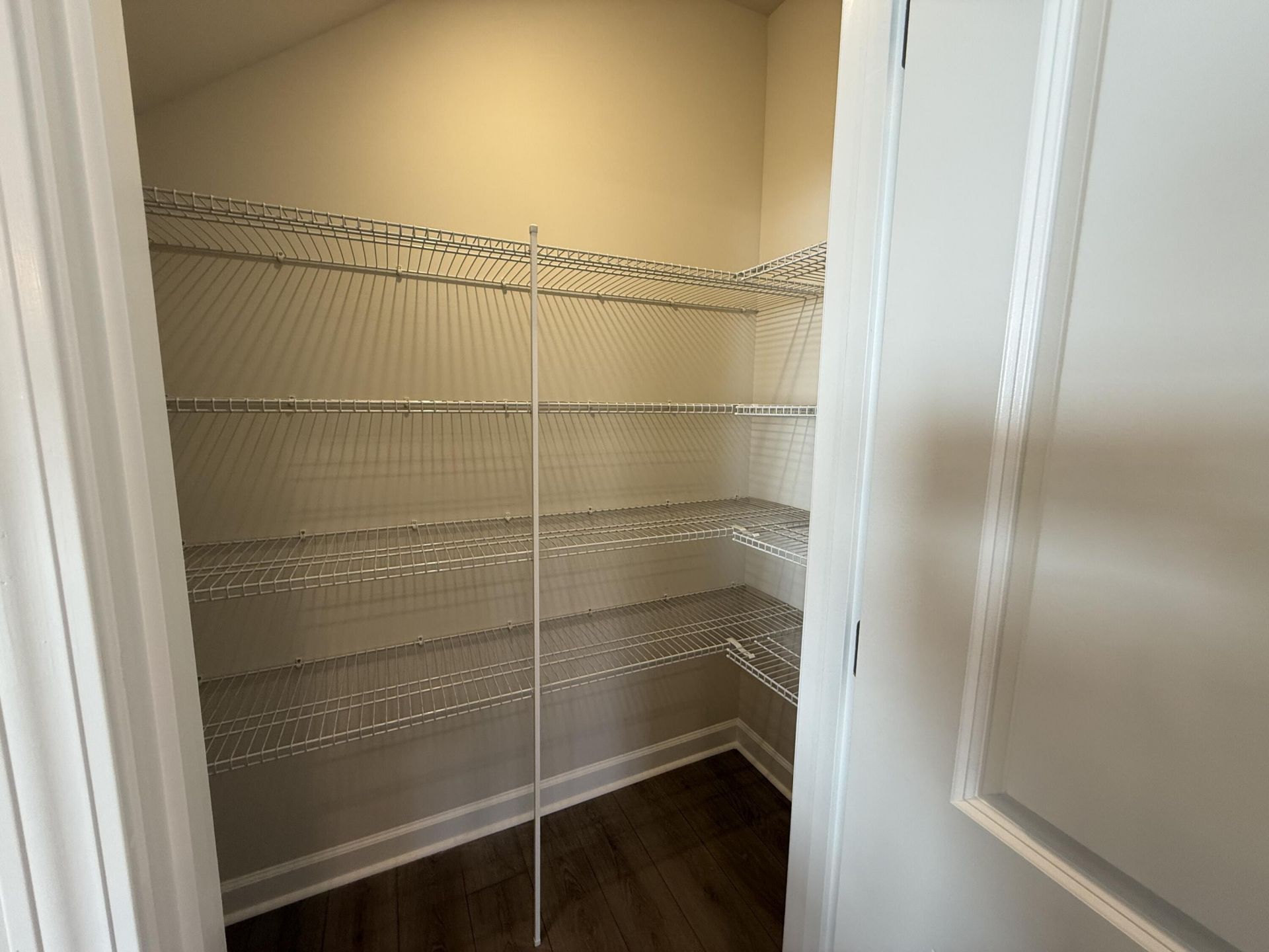 5241 Cottage Landing Drive Photo 11