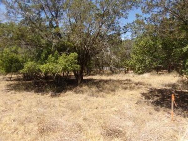 Lot 141 Pine Lane, Cottonwood Shores, TX 78657