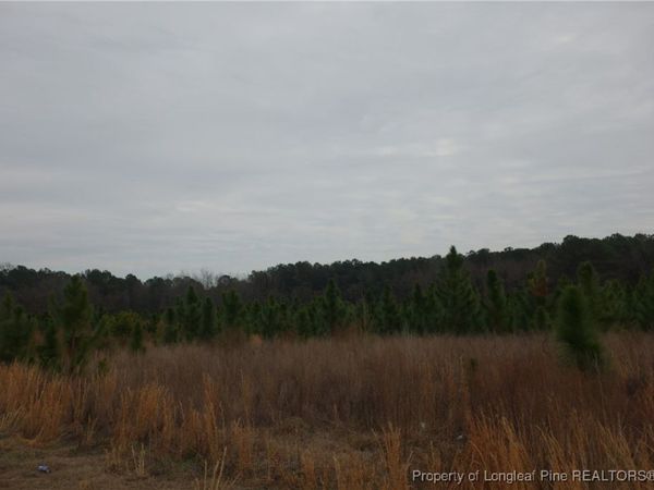 Lot 31 Stuarts Mill Road, Fairmont, NC 28340