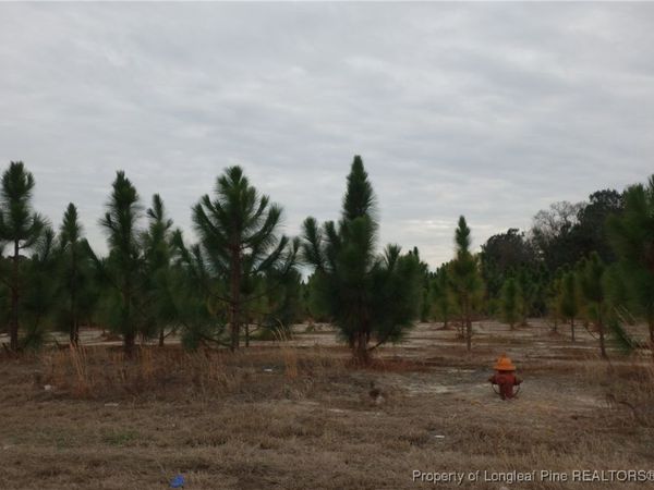 Lot 32 Stuarts Mill Road, Fairmont, NC 28340