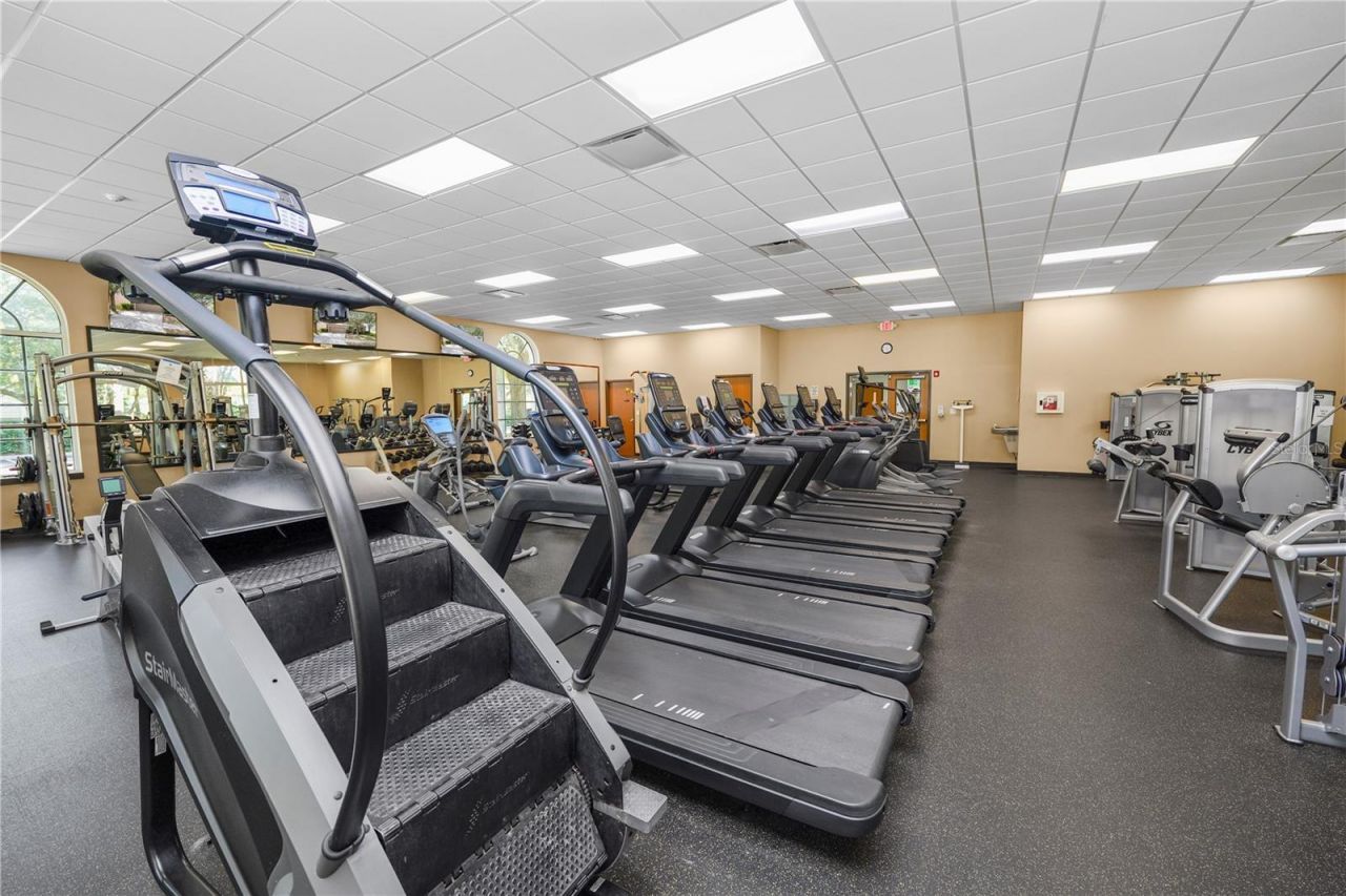 10615 Lucaya Drive, Tampa, FL 33647 Photo