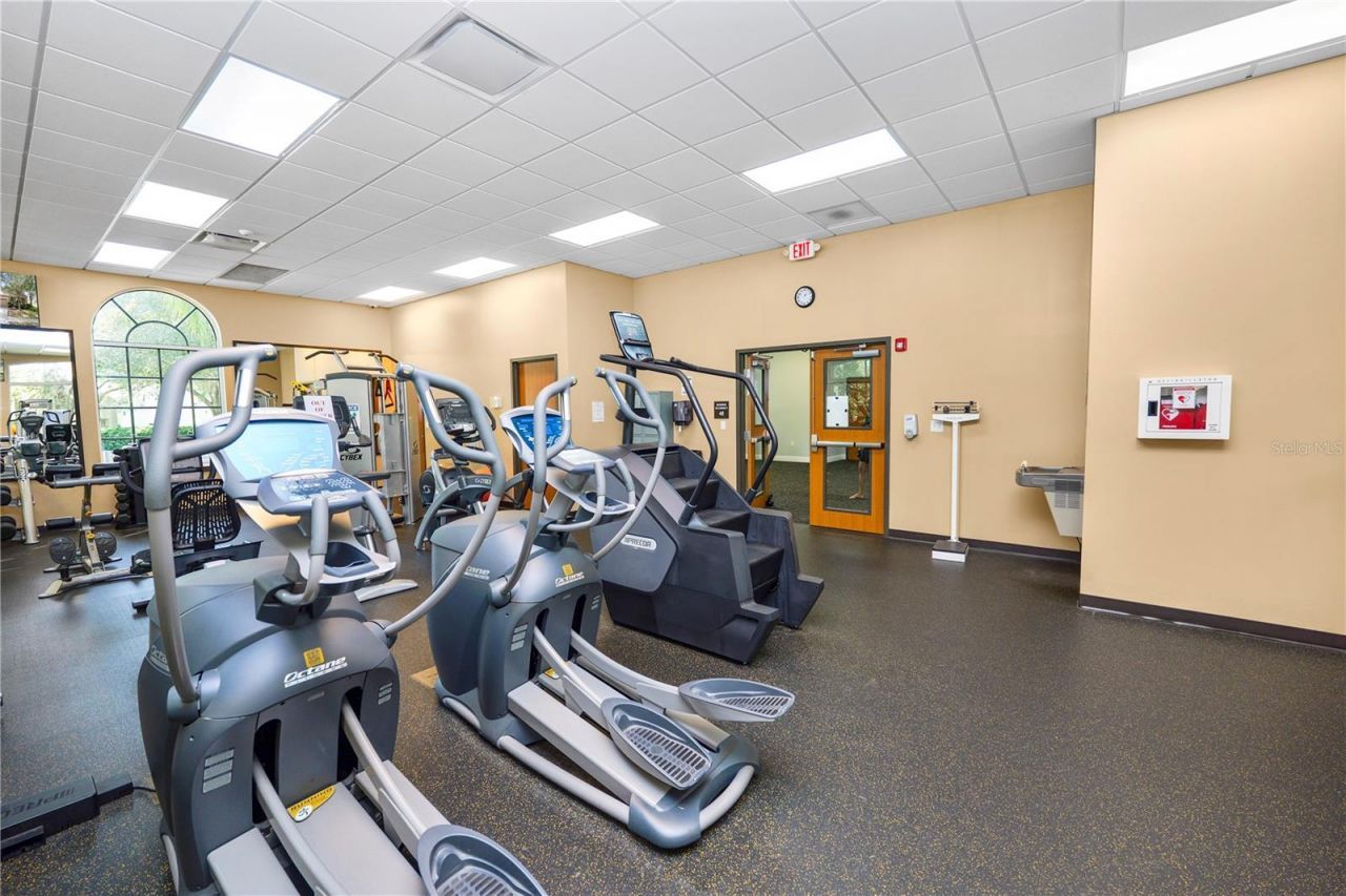 10615 Lucaya Drive, Tampa, FL 33647 Photo