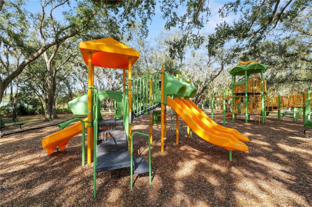 10615 Lucaya Drive, Tampa, FL 33647 Photo