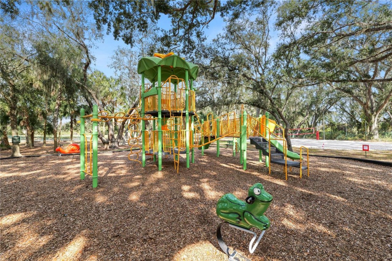 10615 Lucaya Drive, Tampa, FL 33647 Photo