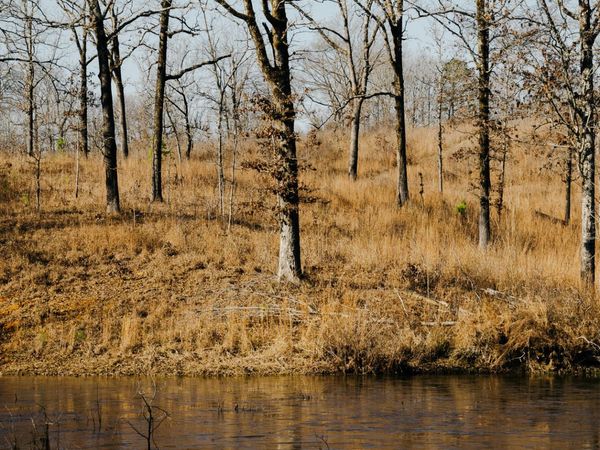 County Road 70 , Coffeeville, MS 38922