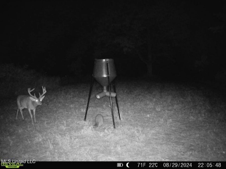 Property Image 44