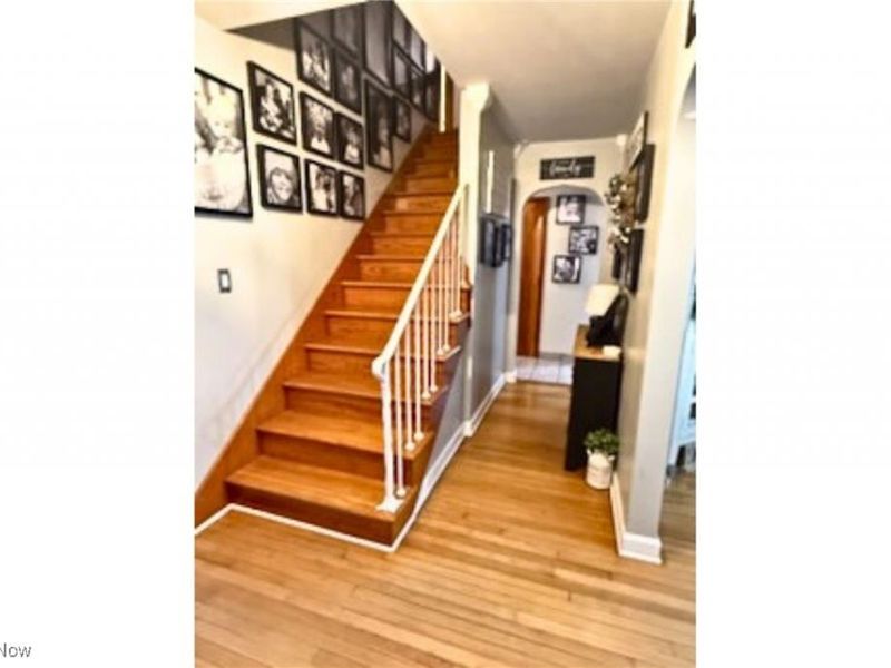 277 Furda Lane, Wintersville, OH 43953 Photo 9