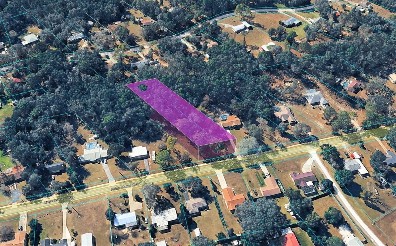 Ridge Manor Boulevard, Dade City, FL 33523 Main Photo