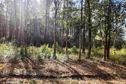 Tbd Franklin St.  photo 4