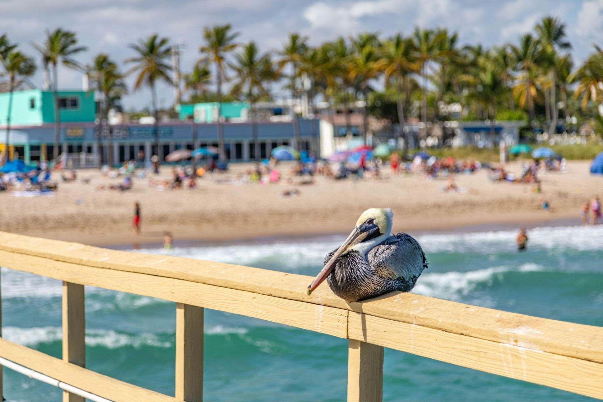 405 N Ocean Boulevard, Unit 208, Pompano Beach, FL 33062 Photo