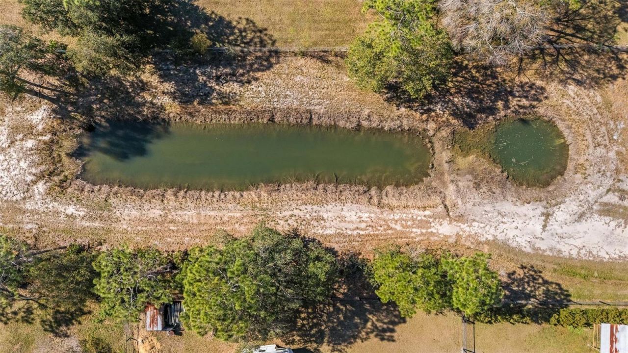 19604 Ralston Street, Orlando, FL 32833 Photo