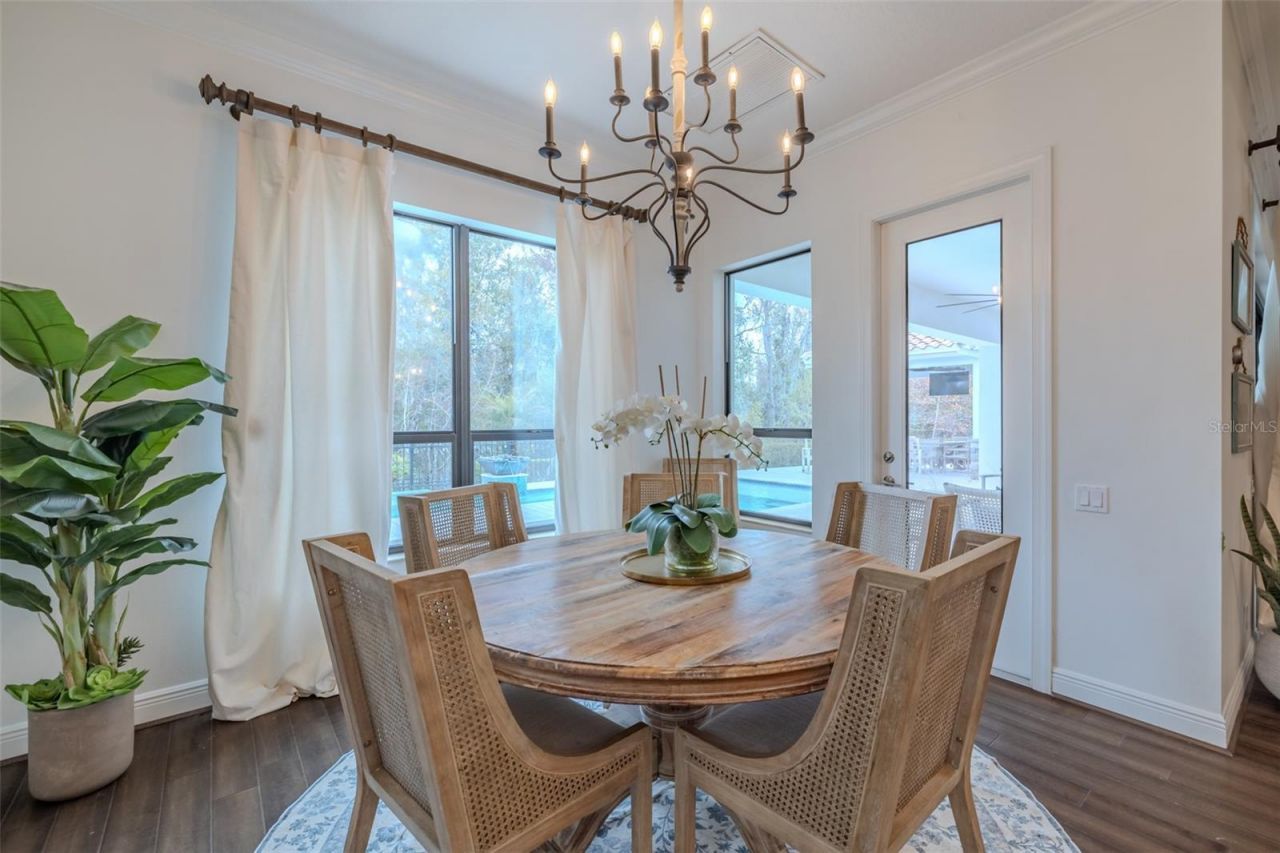 15220 Fishhawk Preserve Drive, Lithia, FL 33547 Photo