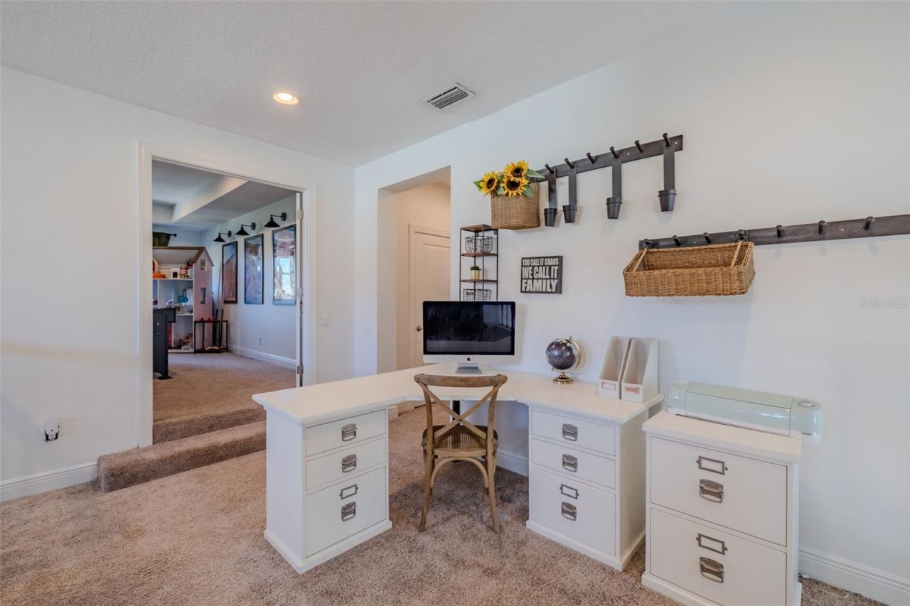 15220 Fishhawk Preserve Drive, Lithia, FL 33547 Photo