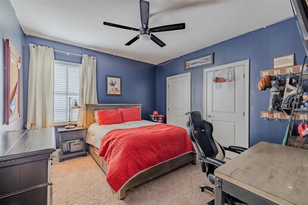 15220 Fishhawk Preserve Drive, Lithia, FL 33547 Photo