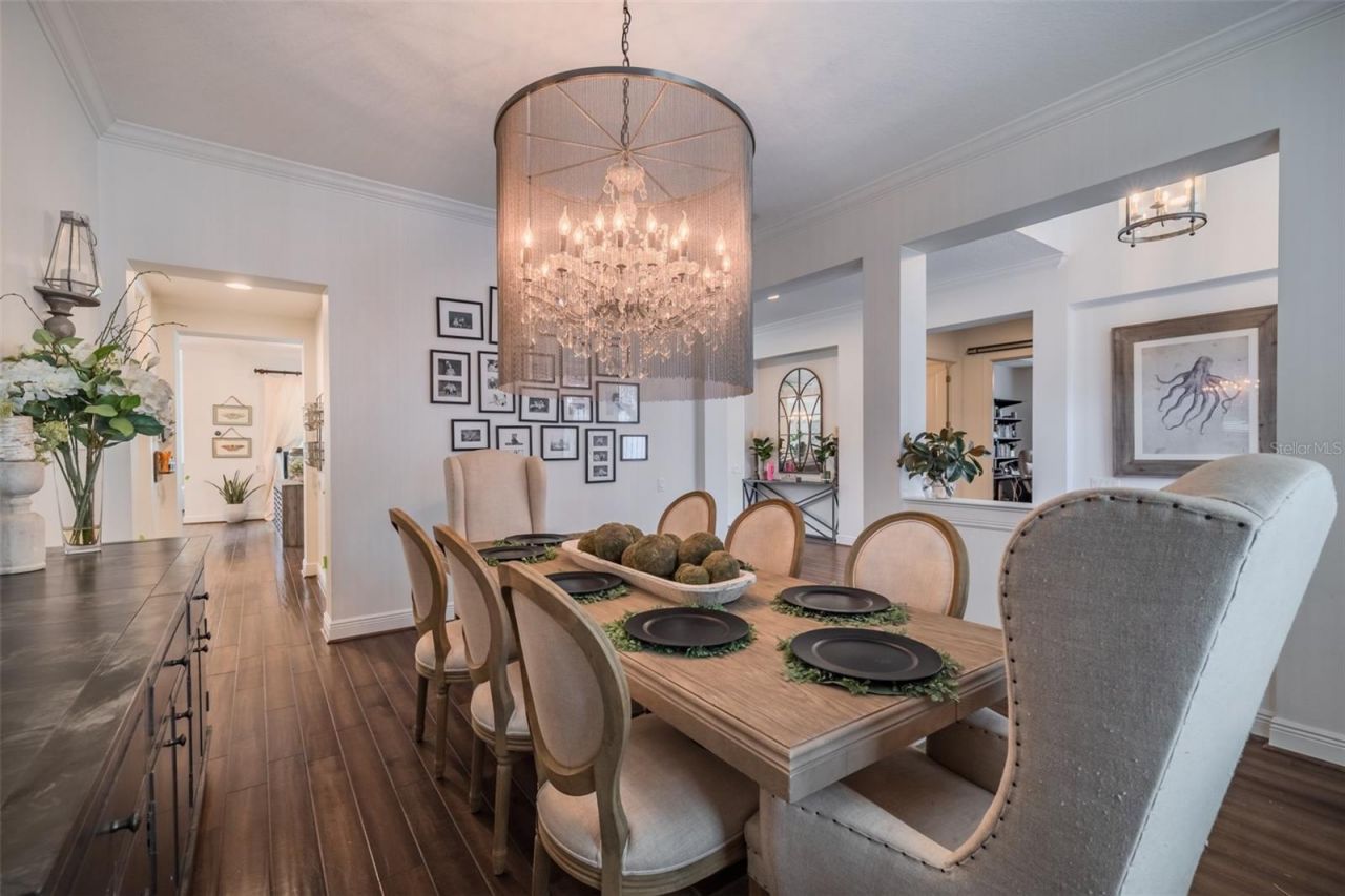 15220 Fishhawk Preserve Drive, Lithia, FL 33547 Photo