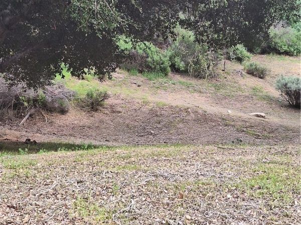 0 Verdale, Val Verde, CA 91384