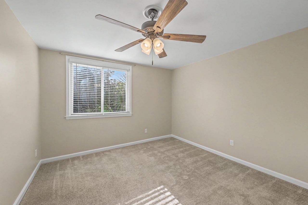 377 Ashley Avenue Photo 50