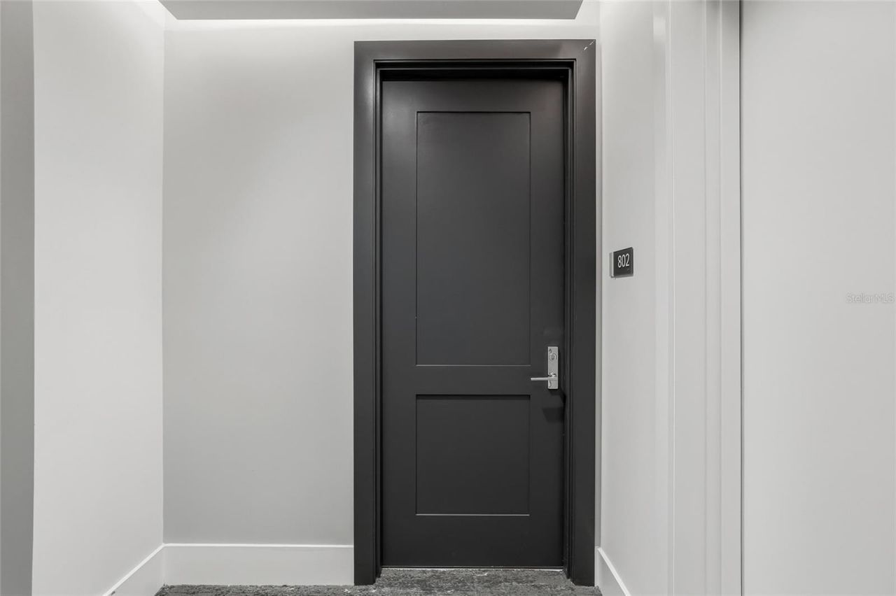 301 1st Street S, Unit 802, Saint Petersburg, FL 33701 Photo