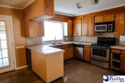 3921 Savannah Grove Road photo 4