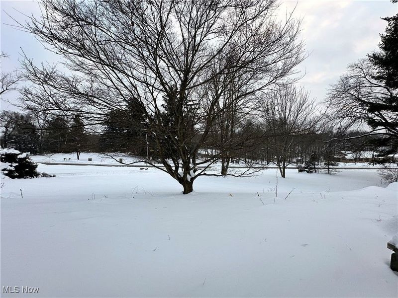 1116 Dairy Lane, East Liverpool, OH 43920 Photo 2