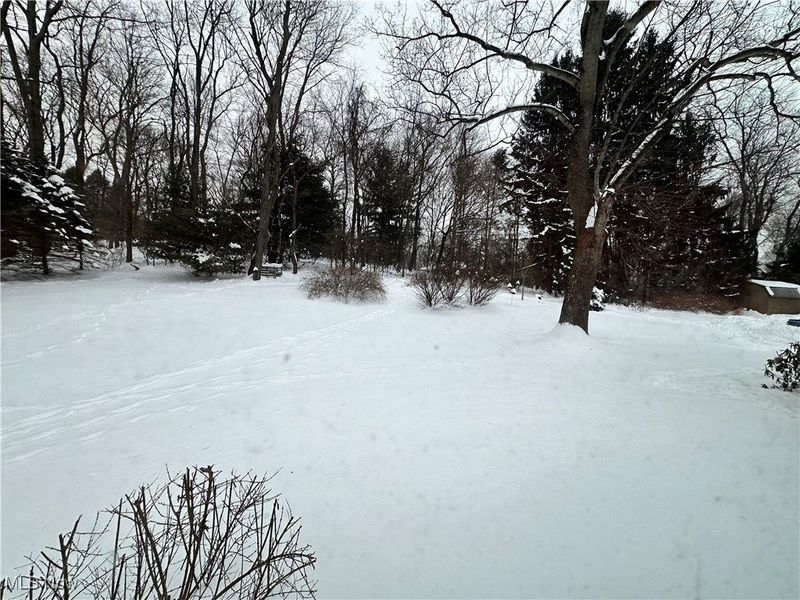 1116 Dairy Lane, East Liverpool, OH 43920 Photo 3