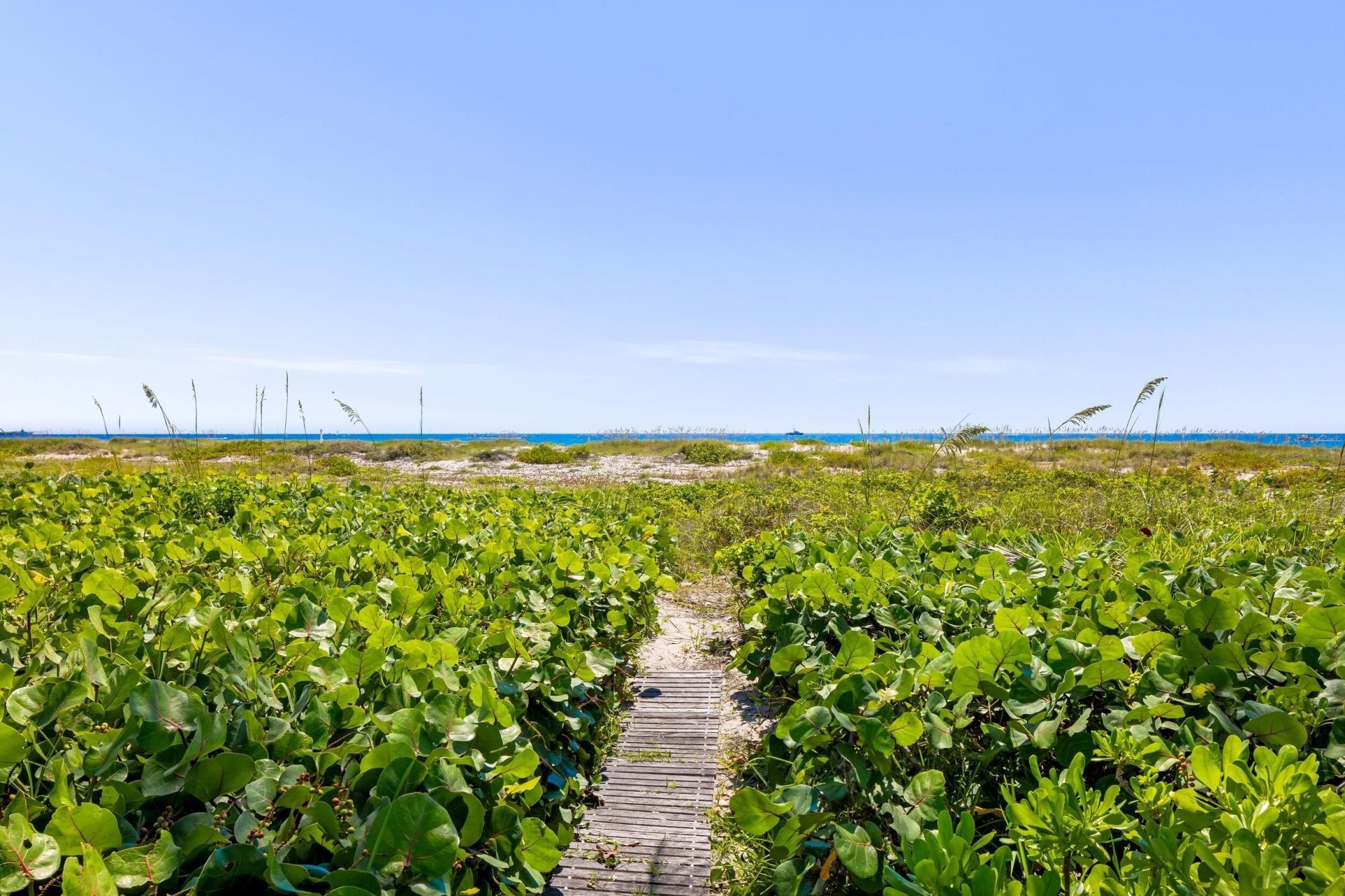 1446 N Ocean Boulevard, Palm Beach, FL 33480 Photo
