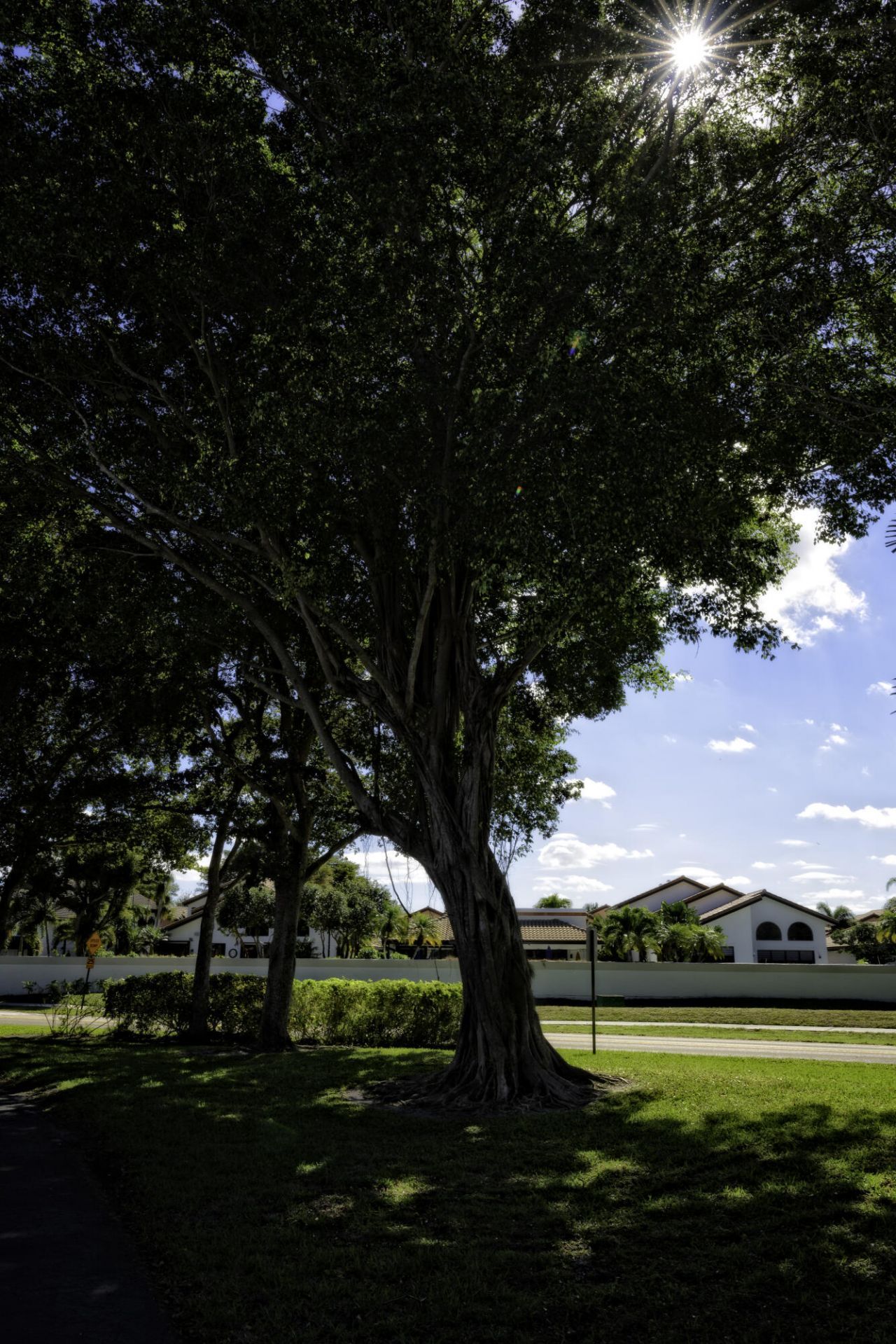 6595 Parkview Drive, Unit F, Boca Raton, FL 33433 Photo