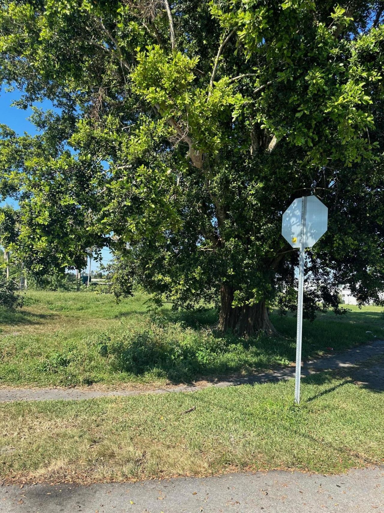 501 W Baines Terrace, Pahokee, FL 33476 Photo