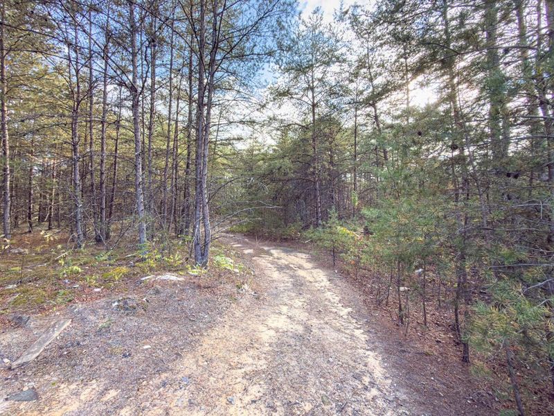 0 Thompsonville Rd Road, Vinton, OH 45686 Photo 12