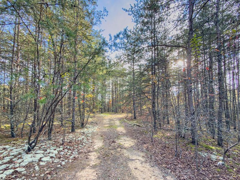 0 Thompsonville Rd Road, Vinton, OH 45686 Photo 13