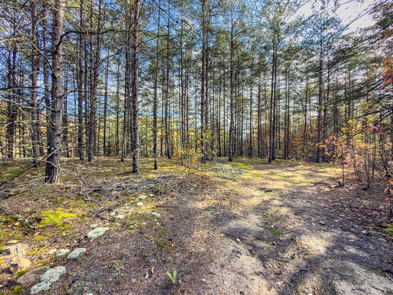 0 Thompsonville Rd Road, Vinton, OH 45686 Photo 14