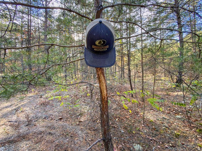 0 Thompsonville Rd Road, Vinton, OH 45686 Photo 15