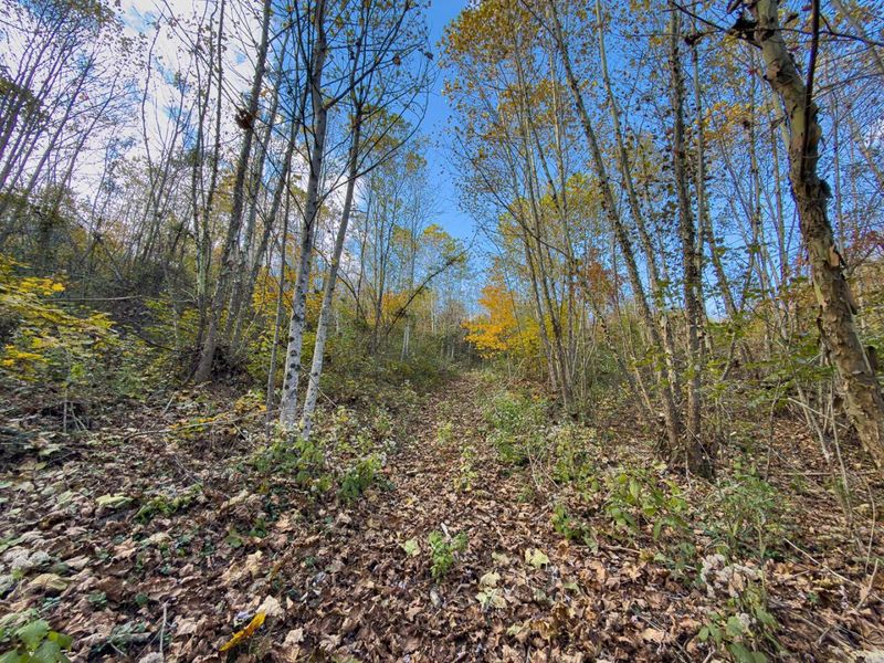 0 Thompsonville Rd Road, Vinton, OH 45686 Photo 16