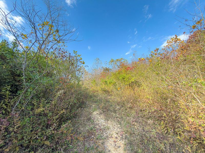 0 Thompsonville Rd Road, Vinton, OH 45686 Photo 17