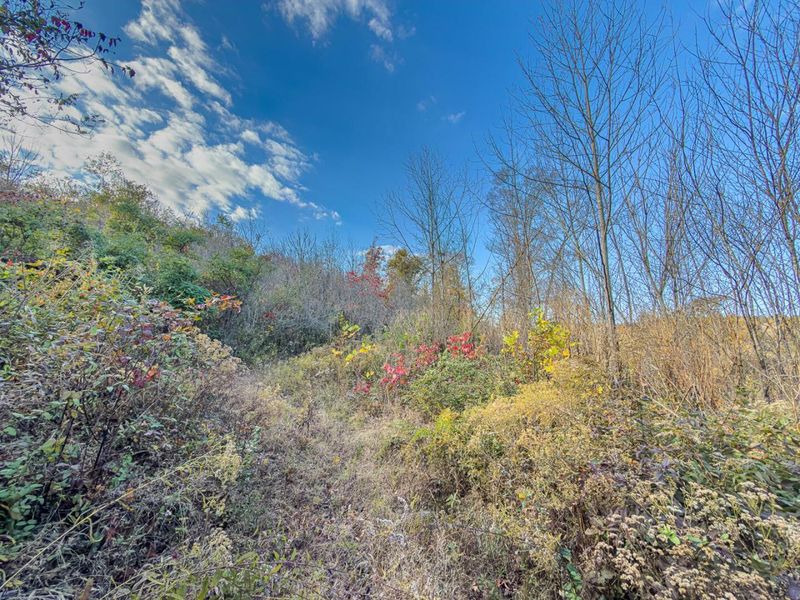 0 Thompsonville Rd Road, Vinton, OH 45686 Photo 18