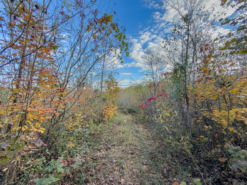 0 Thompsonville Rd Road, Vinton, OH 45686 Photo 20