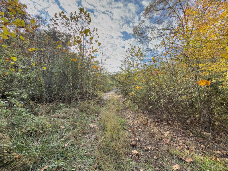 0 Thompsonville Rd Road, Vinton, OH 45686 Photo 8