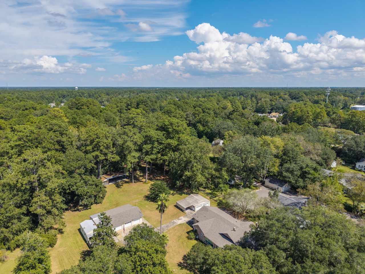 1229 Central Avenue  Photo 5