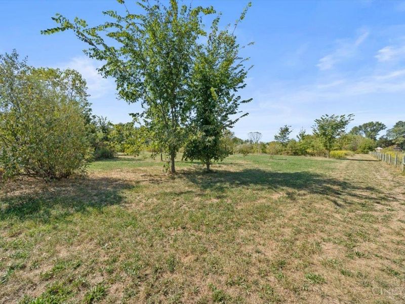 4919 Murray Corner Road, Perry Twp, OH 45118 Photo 53