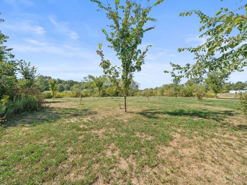 4919 Murray Corner Road, Perry Twp, OH 45118 Photo 55