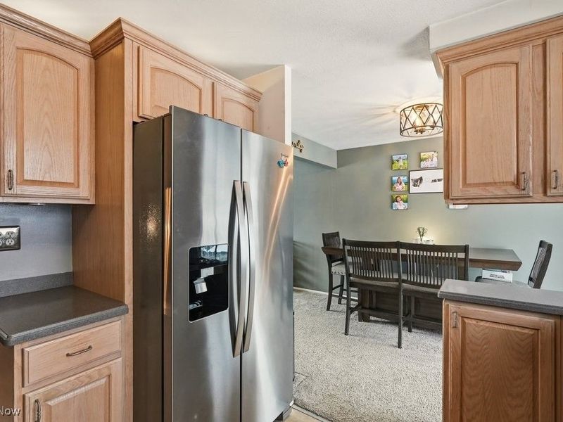 307 Washington Drive, Northfield, OH 44067 Photo 15