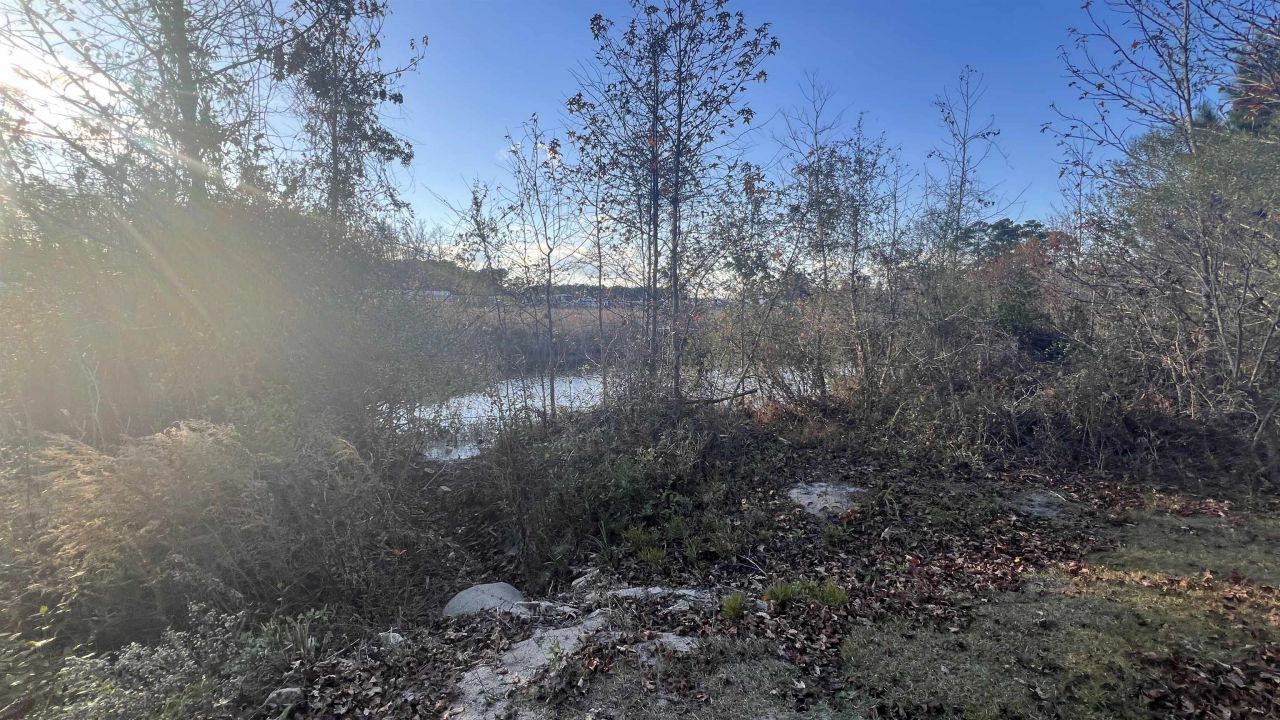 10.79 Acres Highway 90 Photo 10