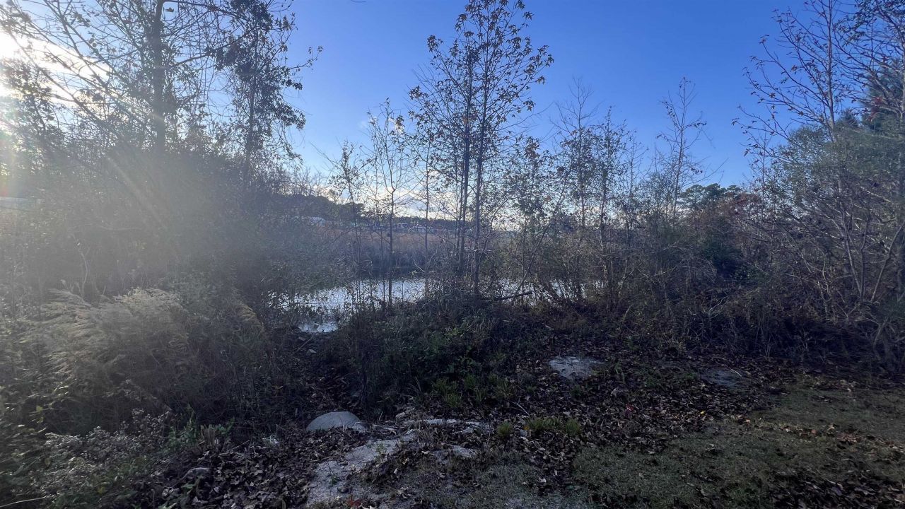 10.79 Acres Highway 90 Photo 11