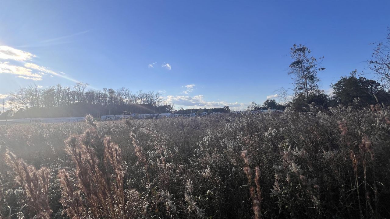 10.79 Acres Highway 90 Photo 12