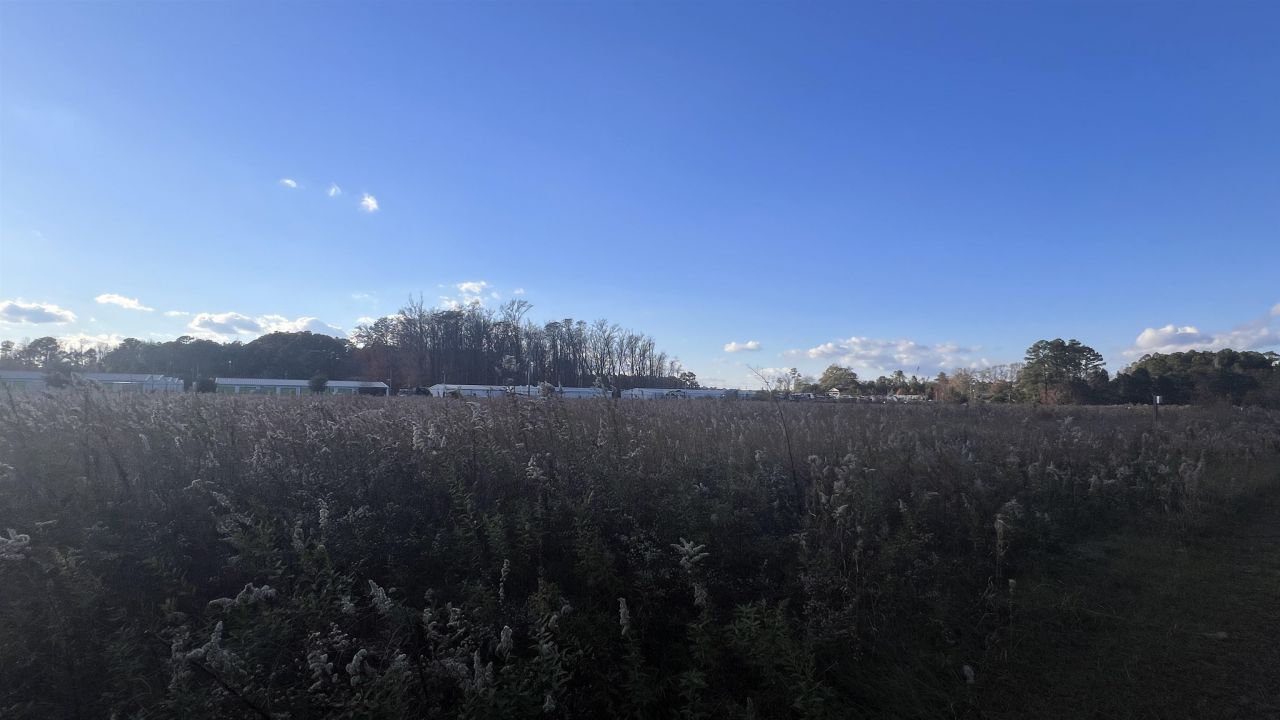 10.79 Acres Highway 90 Photo 13