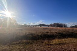 10.79 Acres Highway 90 photo 4